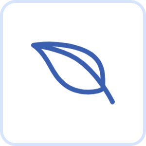 Renewable Materials, No Odor, No Pollution and Non-Toxic