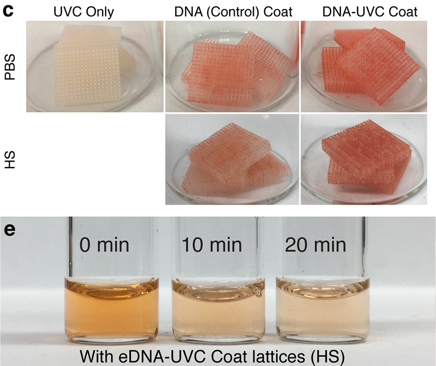  Researchers 3D printed DNA loading and control parts