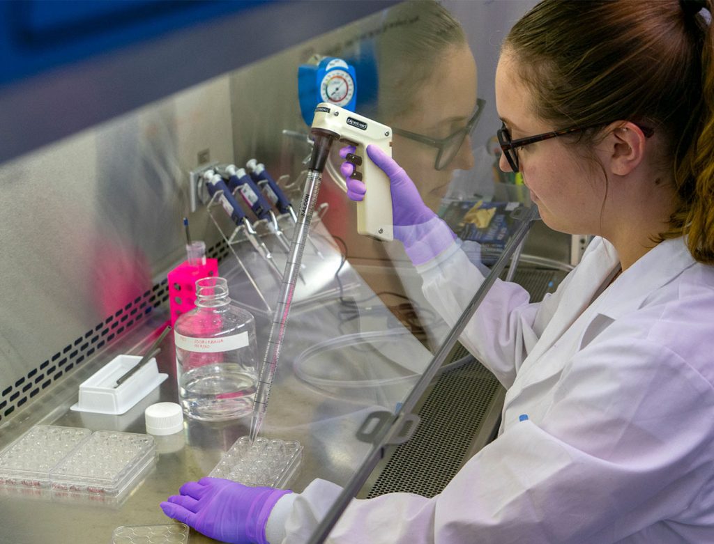 A scientist is experimenting with MatTek's in vitro cell technology A scientist is experimenting with MatTek's in vitro cell technology