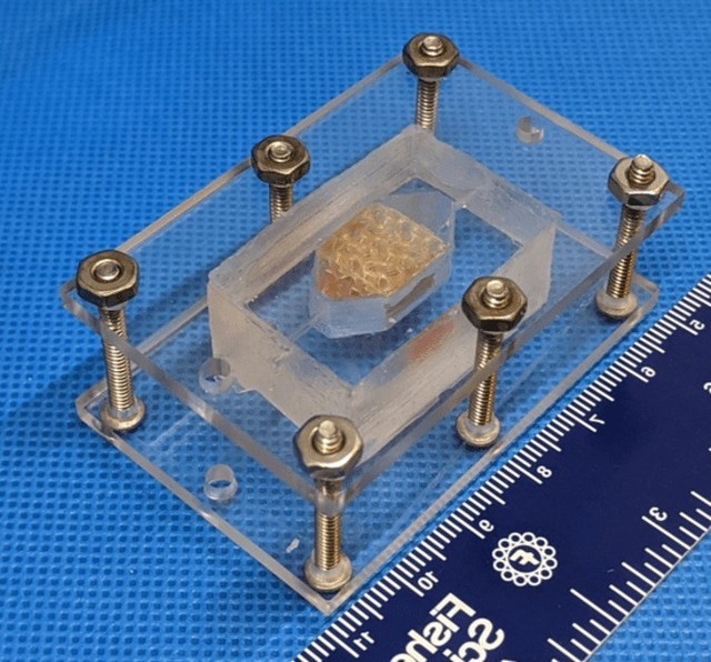 3D printed human liver tissue won the highest award in the NASA Challenge