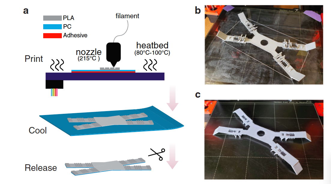 Construction process of flexible skeleton robot Construction process of flexible skeleton robot