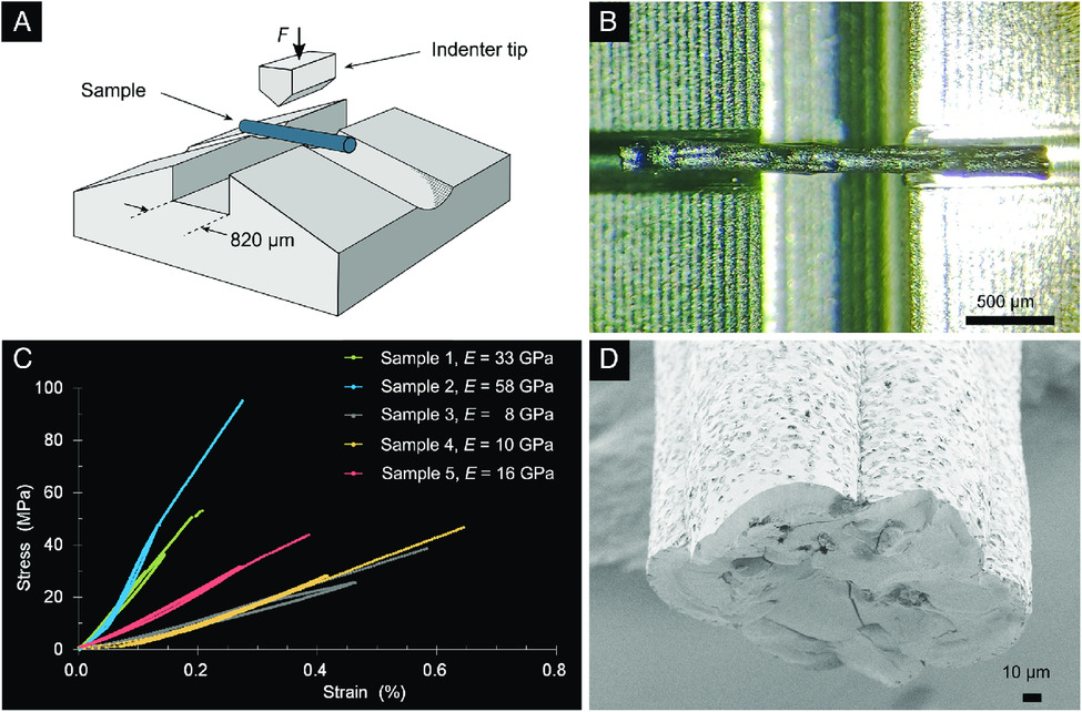 The sample is subjected to a bending test (image B), and the obtained column surface is retained in image D