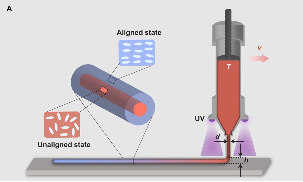  LCE extrusion process