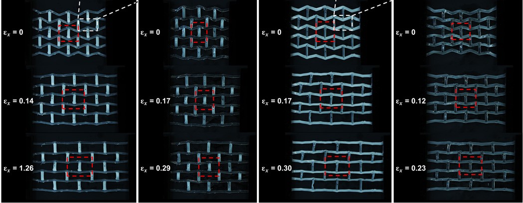  Active lattice structure composed of functionally graded LCE