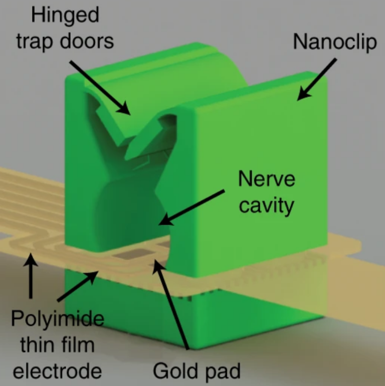 Rendering of the neural interface of the nanoclip integrated with the film