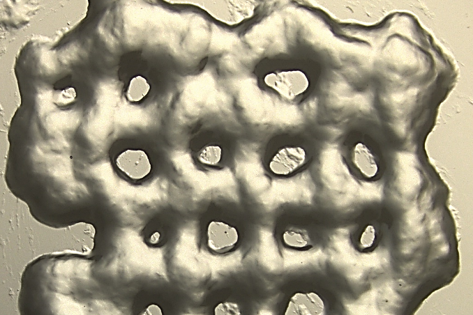 研究团队希望他们的<a href=