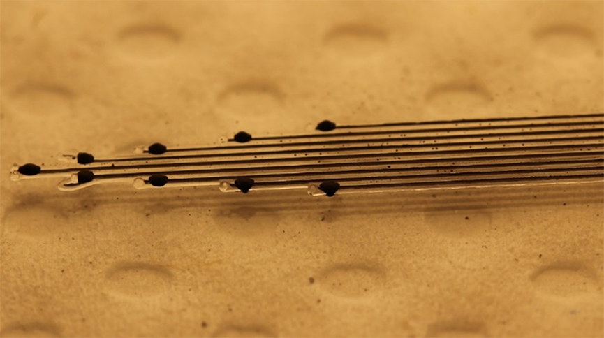 A prototype of a soft bioelectronic implant used as a neuromuscular interface