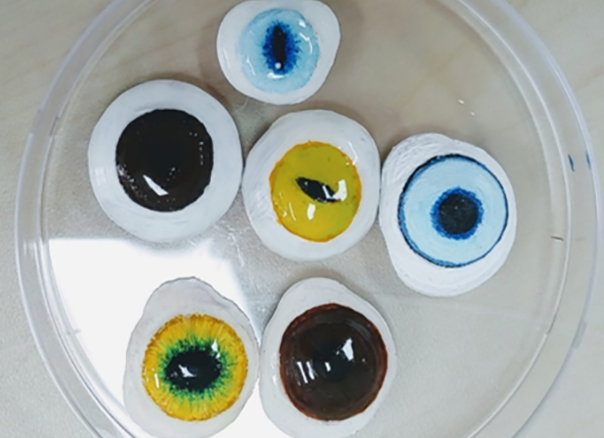  Researchers' 3D printed dog eyes proved to be cheaper and more effective than traditional similar products