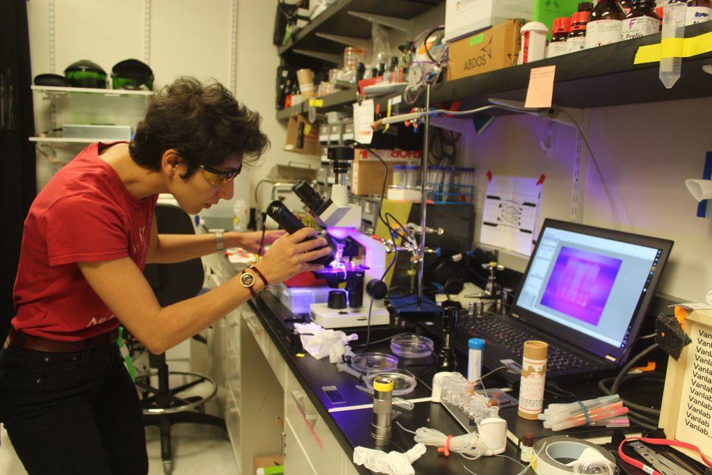 Prellis Biologics engineers study 3D printed tissue under a microscope