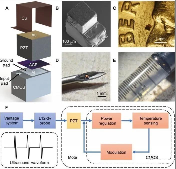 [Breakthrough]The world’s smallest implantable single-chip system, realizing wireless body temperature monitoring and other functions