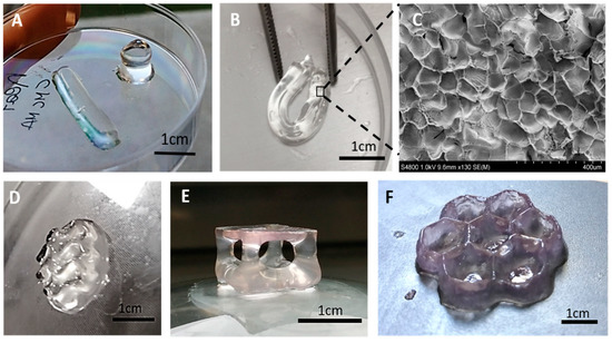   3D printed M-CMC hydrogel.